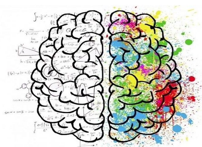 هوش و استعداد تحصیلی